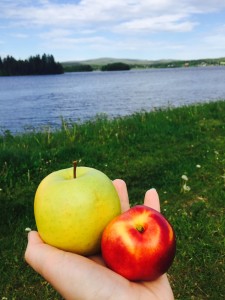 Gåvans värde finns inte att köpa för pengar